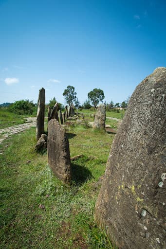 Tiya stelae field